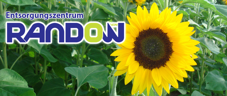 <h3>Umweltschutz... Unsere tägliche Herausforderung!</h3>